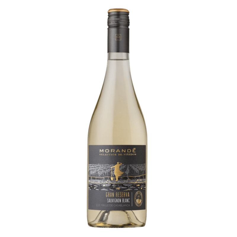 Morande Gran Reserva Sauvignon Blanc
