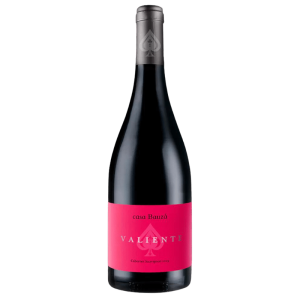 Casa Bauza Valiente Cabernet Sauvignon