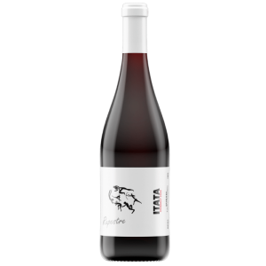 Gonzalo Santibañez Rupestre Cinsault